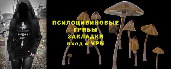 не бодяженный Арсеньев