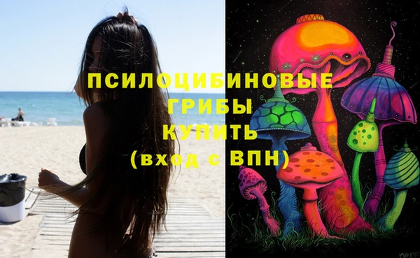 не бодяженный Арсеньев